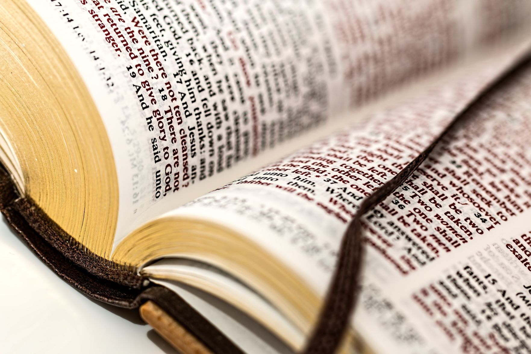 Biblia
